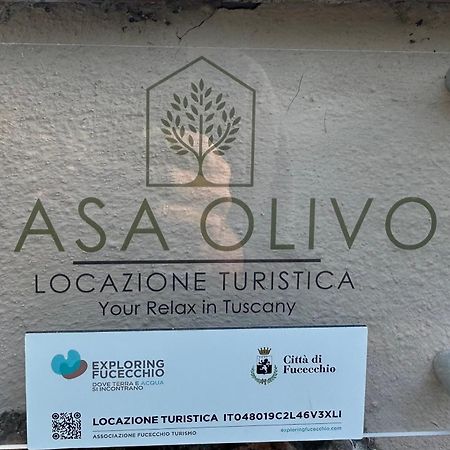 شقة Locazione Turistica Casa Olivo فيوتشيتشيو المظهر الخارجي الصورة