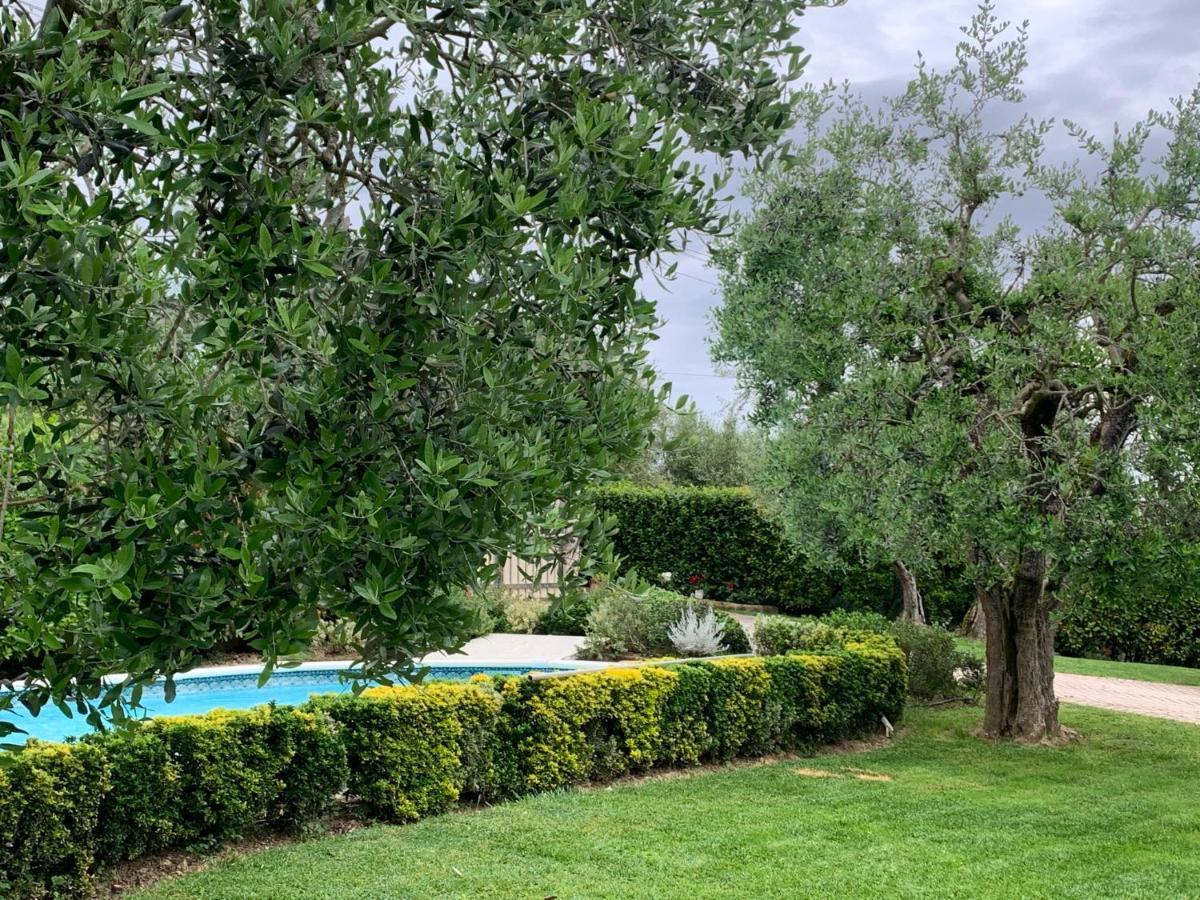 شقة Locazione Turistica Casa Olivo فيوتشيتشيو المظهر الخارجي الصورة