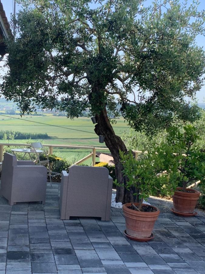 شقة Locazione Turistica Casa Olivo فيوتشيتشيو المظهر الخارجي الصورة